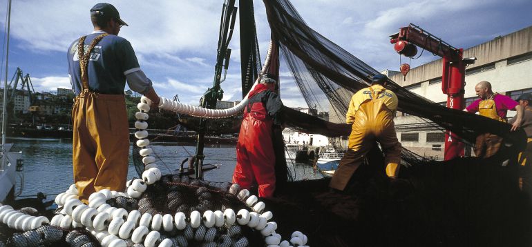 El último arreón de la costera de la anchoa El último arreón de la costera de la anchoa