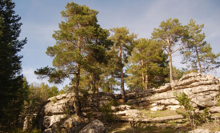 Tormagal de Masegosa, un paisaje kárstico que forma otra ciudad encantada en Cuenca Tormagal de Masegosa, un paisaje kárstico que forma otra ciudad encantada en Cuenca