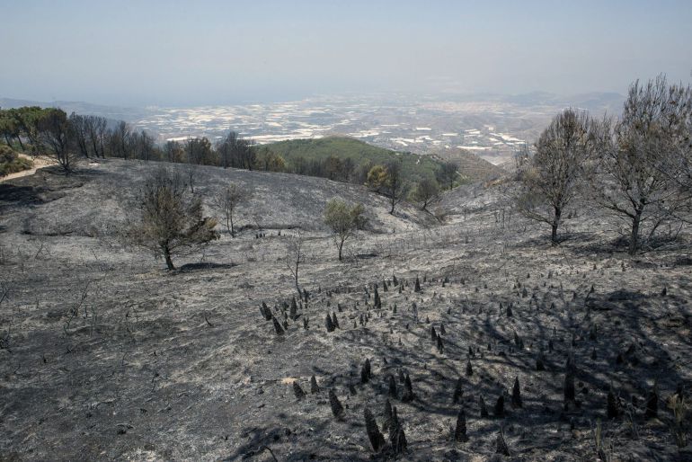 Zona afectada por el incendio en la Sierra de Lújar (Granada) que forzó el desalojo de 624 vecinos, al fondo la localidad granadina de Motril. Zona afectada por el incendio en la Sierra de Lújar (Granada) que forzó el desalojo de 624 vecinos, al fondo la localidad granadina de Motril.