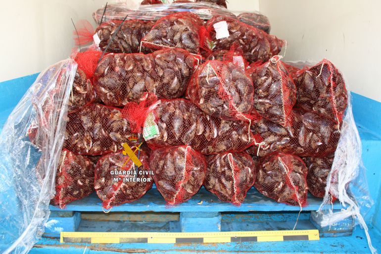 mejillones detenidos malaga: Dos personas detenidas por transportar 1.000 kilos de mejiIlones sin depurar mejillones detenidos malaga: Dos personas detenidas por transportar 1.000 kilos de mejiIlones sin depurar