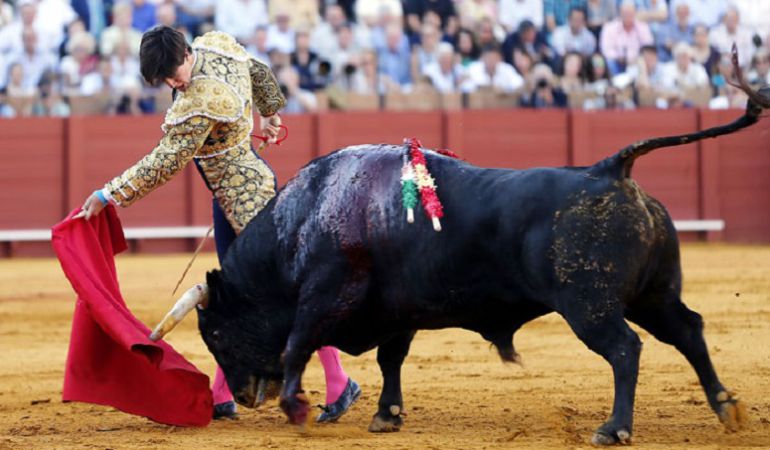 Esaú Fernández, en una de sus últimas actuaciones en la Real Maestranza de Sevilla Esaú Fernández, en una de sus últimas actuaciones en la Real Maestranza de Sevilla