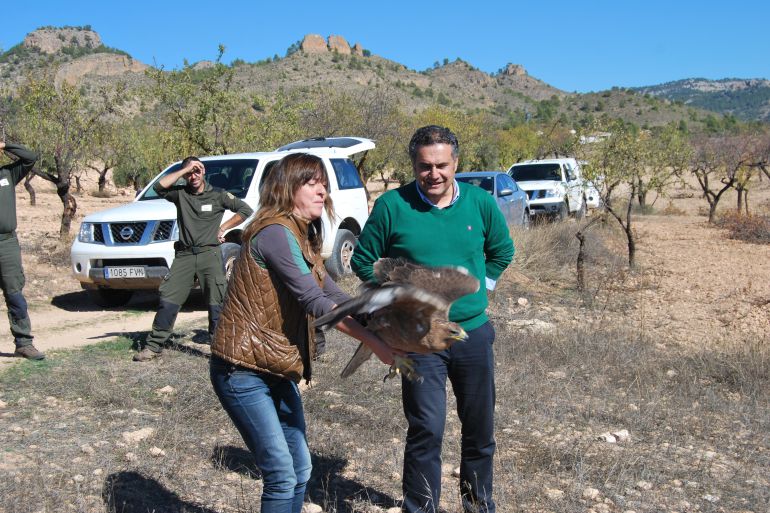 Momento de la suelta del águila Momento de la suelta del águila