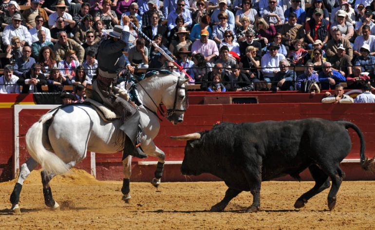 El consistorio ha decidido dejar de financiar los festejos taurinos que anualmente se celebran dentro de las fiestas patronales. El consistorio ha decidido dejar de financiar los festejos taurinos que anualmente se celebran dentro de las fiestas patronales.