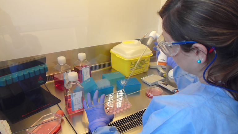 Investigadores madrileños diseñan una “superbola de azúcar” contra el ébola Investigadores madrileños diseñan una “superbola de azúcar” contra el ébola