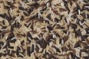 1447242577_082980_1447245117_sumario_nor