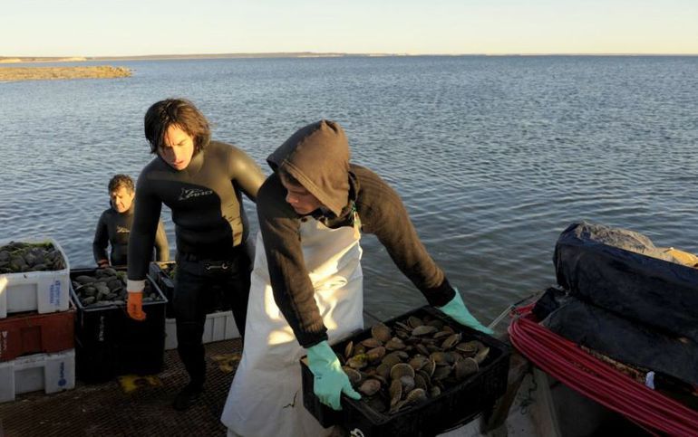 Los mariscadores solicitan el cierre para regenerar el caladero Los mariscadores solicitan el cierre para regenerar el caladero
