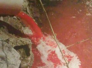 La sangre tiñe de rojo las aguas del Bernesga La sangre tiñe de rojo las aguas del Bernesga