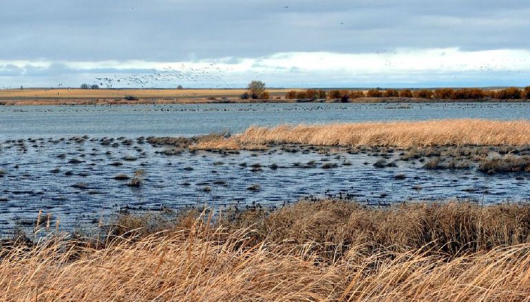 Laguna de la Nava Laguna de la Nava