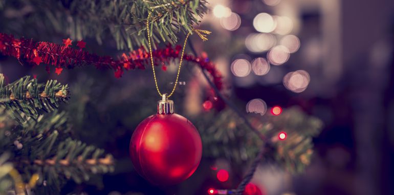 Árboles: El Ayuntamiento inicia la campaña de recogida de árboles de Navidad Árboles: El Ayuntamiento inicia la campaña de recogida de árboles de Navidad