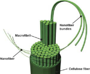 Les nanofibres aporten resistència i capacitat d'enllaçar. Les nanofibres aporten resistència i capacitat d'enllaçar.