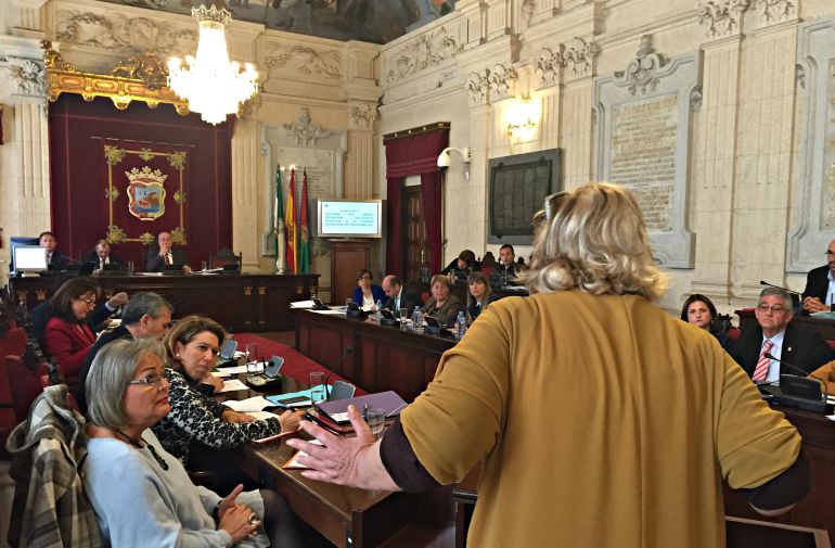 Pleno municipal durante la intervención de Carmela Fernández, presidenta de la asociación de vecinos de Campanillas sobre la piscina municipal del distrito Pleno municipal durante la intervención de Carmela Fernández, presidenta de la asociación de vecinos de Campanillas sobre la piscina municipal del distrito