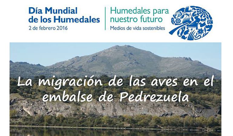 Diversas actividades conmemoran el Día de los Humedales Diversas actividades conmemoran el Día de los Humedales