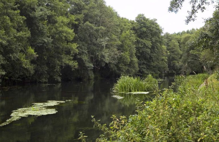 El río Cabe a su paso por el municipio de O Incio en Lugo El río Cabe a su paso por el municipio de O Incio en Lugo