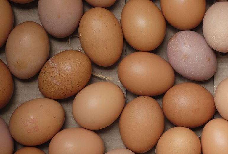 Los huevos, uno de los alimentos que pueden causar la salmonelosis Los huevos, uno de los alimentos que pueden causar la salmonelosis