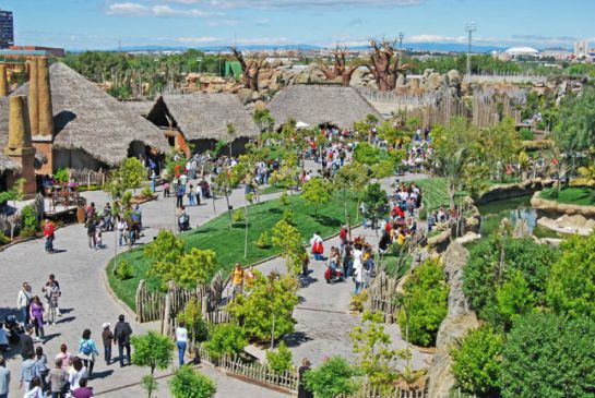 Vista general de Bioparc Valencia Vista general de Bioparc Valencia