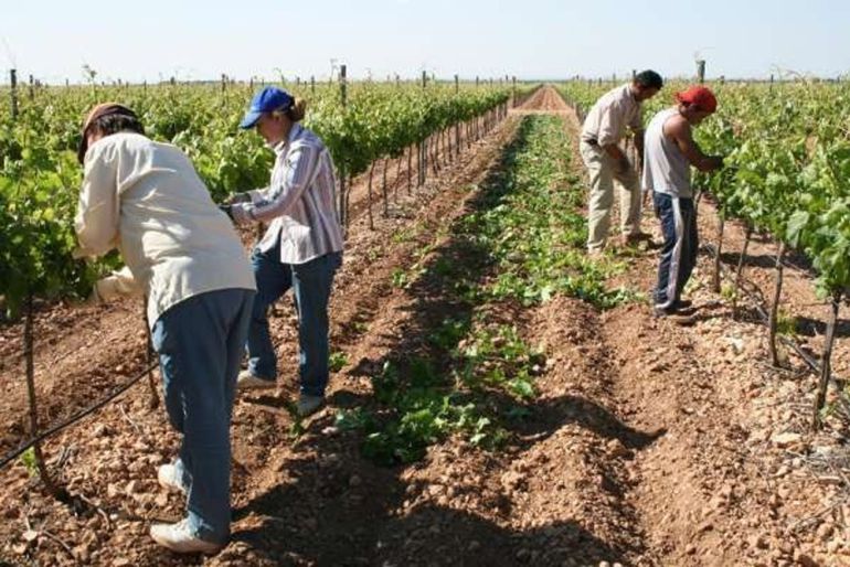 Juzgan a tres acusados de explotar laboralmente a 70 personas en La Gineta Juzgan a tres acusados de explotar laboralmente a 70 personas en La Gineta