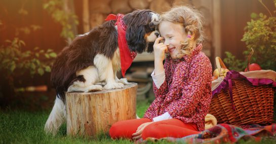 Perros Convivencia Niños Mascotas: "Crecer con perros es saludable" Perros Convivencia Niños Mascotas: "Crecer con perros es saludable"