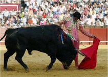 Salvador Vega se aparta de los toros por tiempo indefinido
