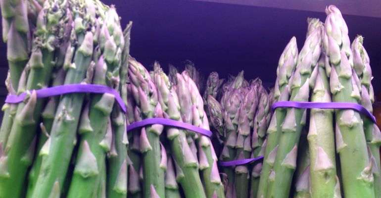 Llega la temporada del Espárrago Triguero, un producto lleno de sabor y propiedades Llega la temporada del Espárrago Triguero, un producto lleno de sabor y propiedades