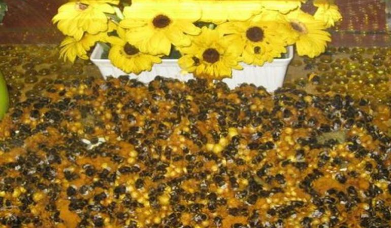 Abejas haciendo miel Abejas haciendo miel