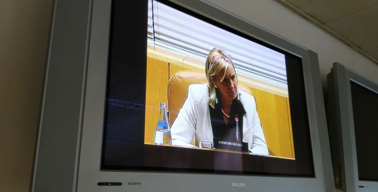 Yolanda Laviana comparenciendo en la Asamblea de Madrid Yolanda Laviana comparenciendo en la Asamblea de Madrid