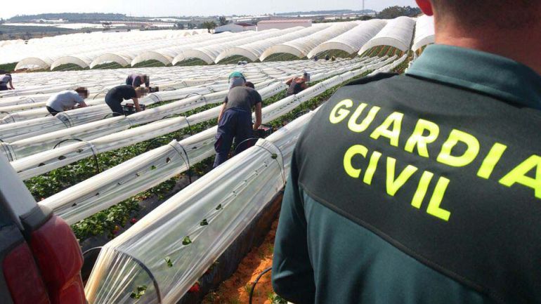 Refuerzo de 40 efectivos en el dispositivo
especial de la campaña de la fresa Refuerzo de 40 efectivos en el dispositivo
especial de la campaña de la fresa