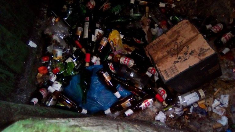 Vidrios depositados en el interior del contenedor de basura orgánica Vidrios depositados en el interior del contenedor de basura orgánica