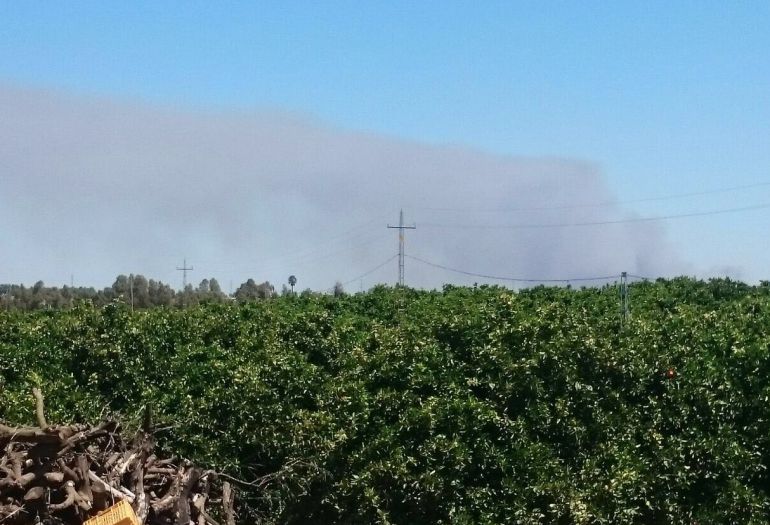 La columna de humo del incendio de Fuente de la Corcha, en Beas, se puede ver desde Gibraleón. La columna de humo del incendio de Fuente de la Corcha, en Beas, se puede ver desde Gibraleón.