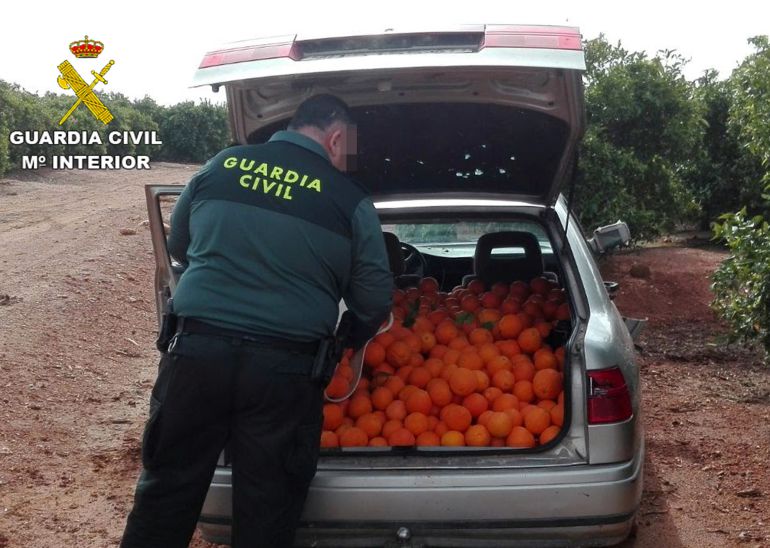 Recuperados 1 800 Kilos De Naranjas Robadas En La Aparecida Radio