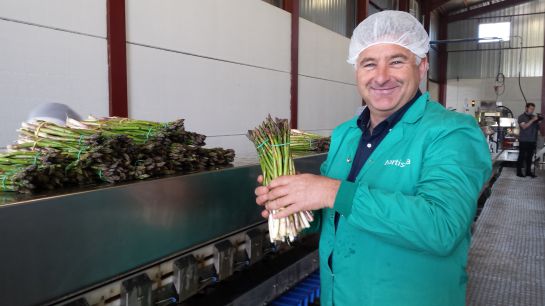 La provincia de Guadalajara se convierte en una de las mayores productoras de Europa en espárrago verde: Guadalajara, primera potencia productora de espárrago verde La provincia de Guadalajara se convierte en una de las mayores productoras de Europa en espárrago verde: Guadalajara, primera potencia productora de espárrago verde