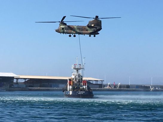 Las Fuerzas Armadas se exhiben en Alicante Las Fuerzas Armadas se exhiben en Alicante
