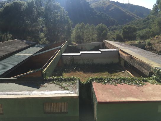 Málaga incendio: El antiguo campo de tiro acumula cientos de neumáticos en pleno parque natural Málaga incendio: El antiguo campo de tiro acumula cientos de neumáticos en pleno parque natural