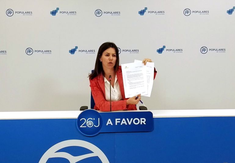 Presidente de la Cámara de Cuentas defiende su independencia y ve "reprobable" que se "desprestigie" su labor Presidente de la Cámara de Cuentas defiende su independencia y ve "reprobable" que se "desprestigie" su labor
