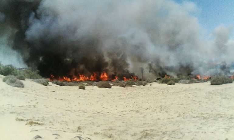 Controlado el incendio en las Dunas de Maspalomas Controlado el incendio en las Dunas de Maspalomas