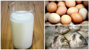 La vitamina D; los beneficios del sol La vitamina D; los beneficios del sol