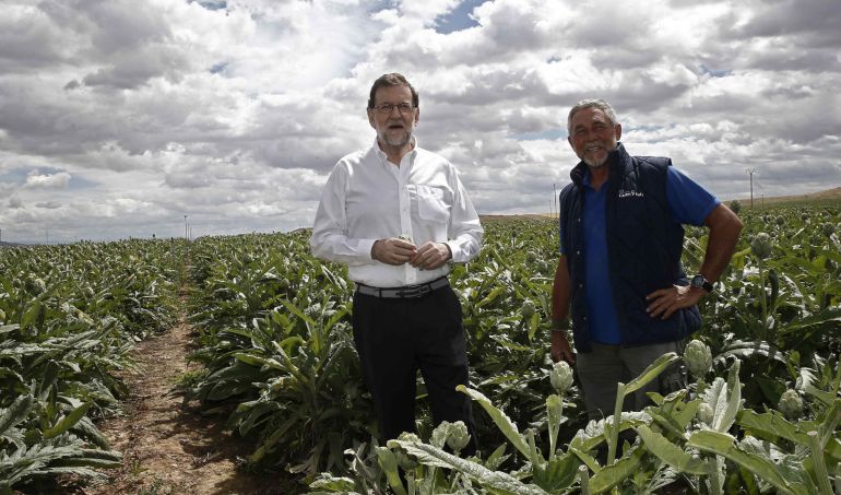 El presidente del Partido Popular y del Gobierno en funciones, Mariano Rajoy, durante la visita que ha realizado a una finca de cultivo de alcachofas El presidente del Partido Popular y del Gobierno en funciones, Mariano Rajoy, durante la visita que ha realizado a una finca de cultivo de alcachofas