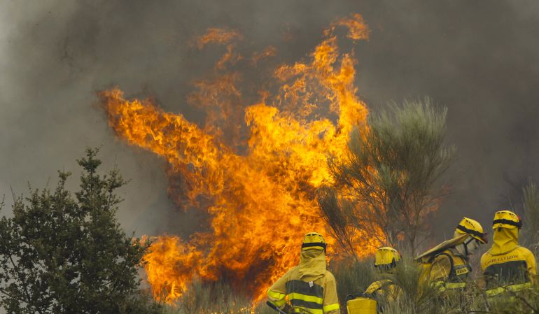 Declarada la alerta media en Castilla y León Declarada la alerta media en Castilla y León