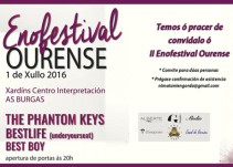 Os viños das catro Denominacións de Orixe, protagonistas das Festas