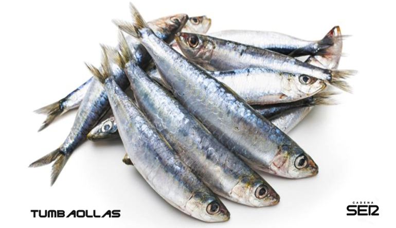 Las sardinas, plato típico del verano en la cocina Las sardinas, plato típico del verano en la cocina