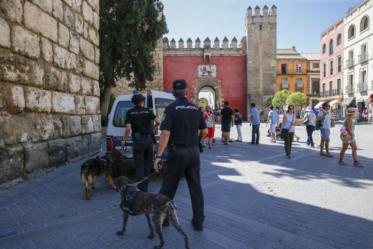 Agentes de la Policía Nacional recorren con perros los alrededores de los monumentos más destacados de Sevilla donde se intensifican las medidas de seguridad ante la inminente visita del presidente de los Estados Unidos, Barack Obama, que está generando una gran expectación en la capital, sobre todo en el Real Alcázar y la Catedral que visitará en la mañana del próximo domingo acompañado por Felipe VI. Agentes de la Policía Nacional recorren con perros los alrededores de los monumentos más destacados de Sevilla donde se intensifican las medidas de seguridad ante la inminente visita del presidente de los Estados Unidos, Barack Obama, que está generando una gran expectación en la capital, sobre todo en el Real Alcázar y la Catedral que visitará en la mañana del próximo domingo acompañado por Felipe VI.