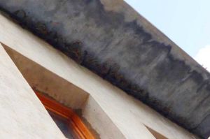 Imatge de les restes de nius d'oreneta després de ser arrencats entre el balco i la façana d'una casa de Camarasa. Imatge capturada del Twitter dels Agents Rurals, el 17 de juliol del 2016 Imatge de les restes de nius d'oreneta després de ser arrencats entre el balco i la façana d'una casa de Camarasa. Imatge capturada del Twitter dels Agents Rurals, el 17 de juliol del 2016