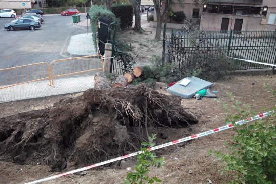 Alcalá de Henares: Un árbol aplasta la valla del colegio Iplacea Alcalá de Henares: Un árbol aplasta la valla del colegio Iplacea