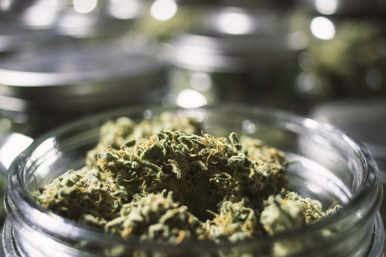 Alicante: Guanyar presentará una moción para legalizar los clubes de cannabis Alicante: Guanyar presentará una moción para legalizar los clubes de cannabis