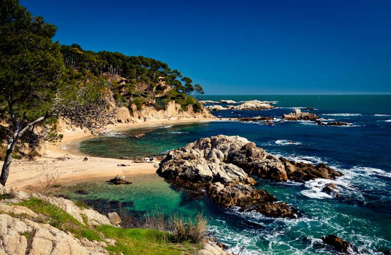 El 2020 l'aigua de la Costa Brava era quatre graus més calenta que la mitjana de l'últim mig segle El 2020 l'aigua de la Costa Brava era quatre graus més calenta que la mitjana de l'últim mig segle