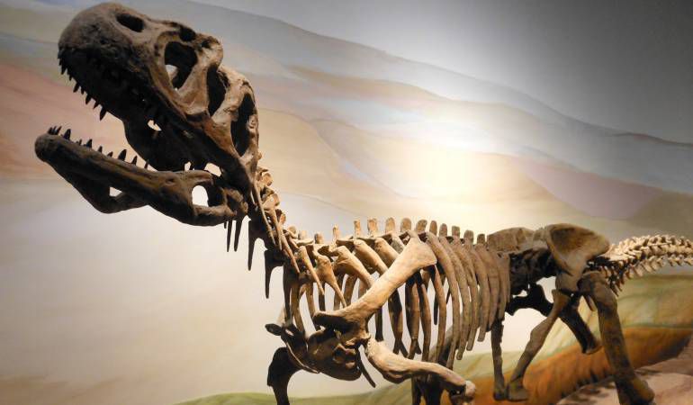 Un reglamento para asegurar la paleontología Un reglamento para asegurar la paleontología