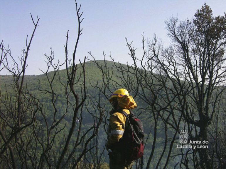 Un incendio forestal amenaza Montemayor del Río Un incendio forestal amenaza Montemayor del Río