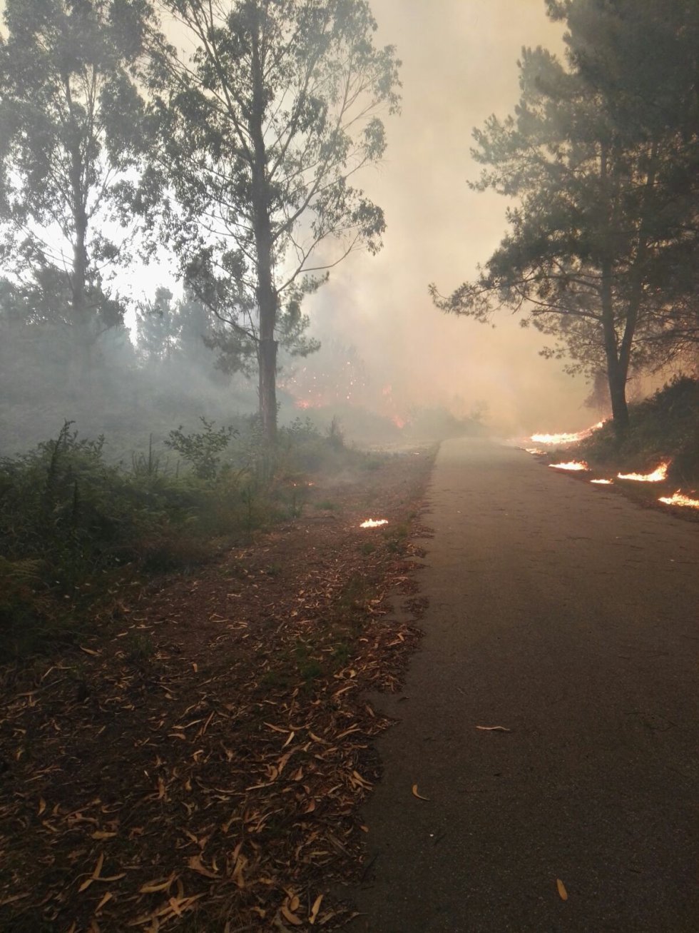 Los incendios de Cotobade y Xiabre en imágenes Los incendios de Cotobade y Xiabre en imágenes