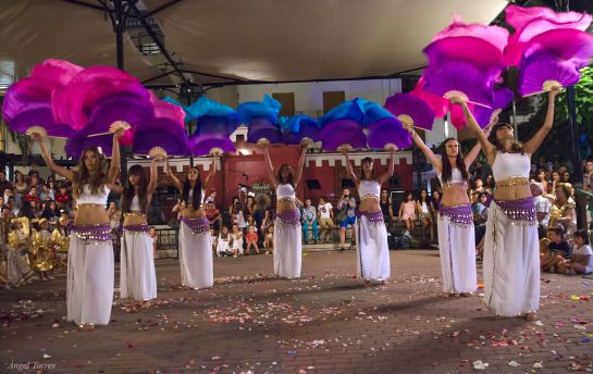 Actuación de un grupo de baile durante la pasada edición de las Fiestas Realengas Actuación de un grupo de baile durante la pasada edición de las Fiestas Realengas