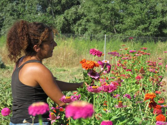 Rosa Pineda, en su Huerta Hermisenda Rosa Pineda, en su Huerta Hermisenda