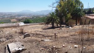Estado de conservación del Cementerio de San Eufrasio, Jaén Estado de conservación del Cementerio de San Eufrasio, Jaén